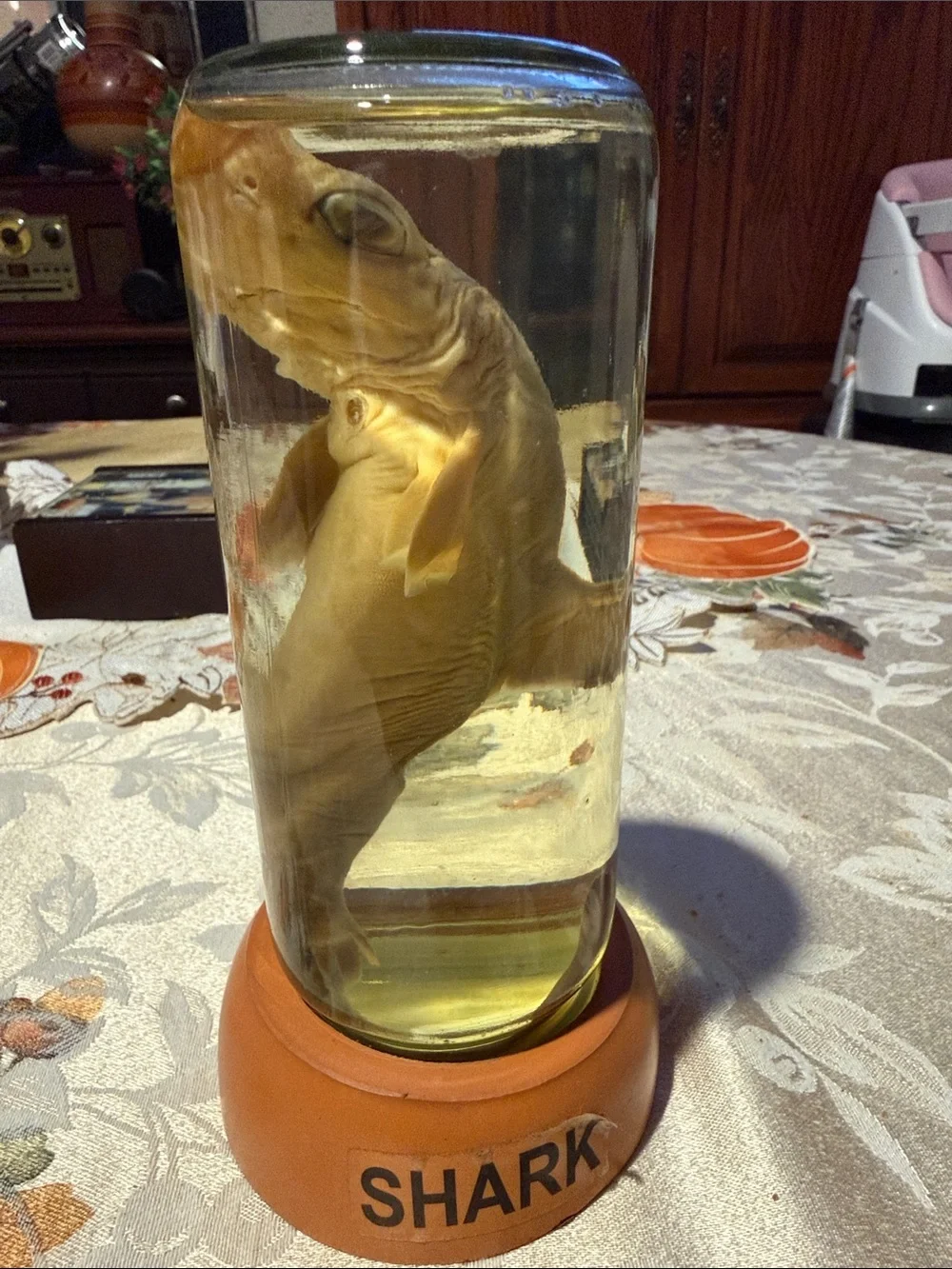 Tan Shark Aquarium Ornament in Glass Jar - Decorative Fish Accent